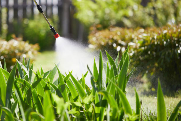 24/7 Emergency Mosquito Control experts in Victoria, TX