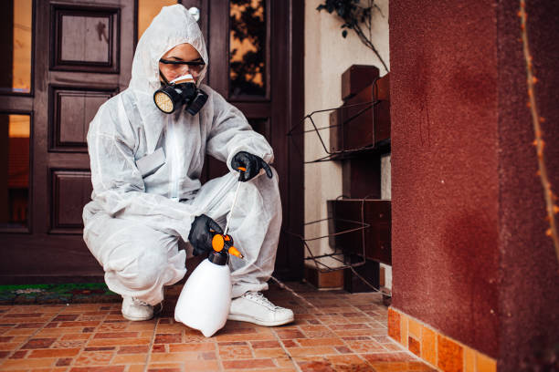 Reliable Mosquito Control contractor in Victoria, TX by Show Me Pest Control